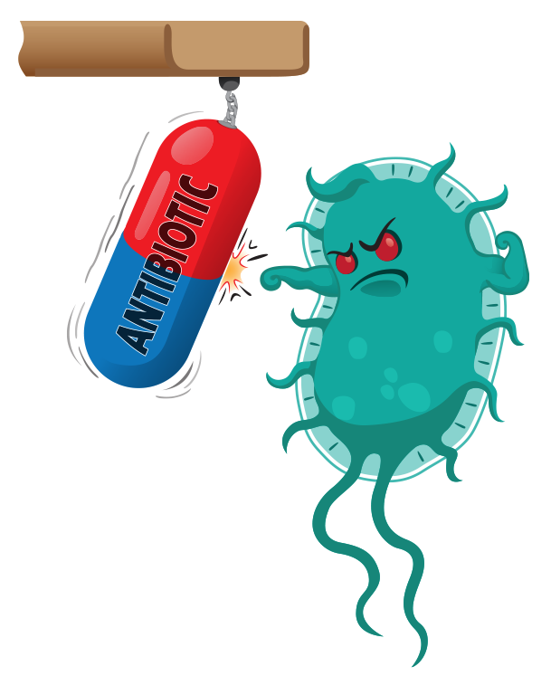 Antimicrobials & AMR