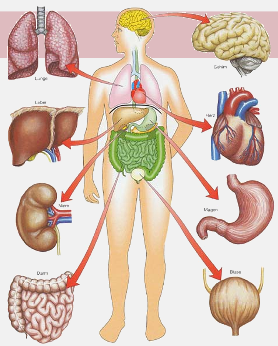 Clinical Syndromes