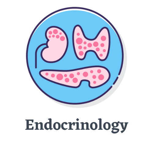 Endocrinology