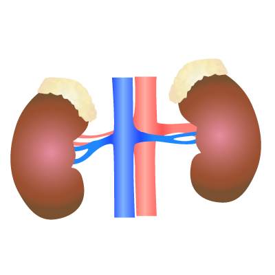 Nephrology