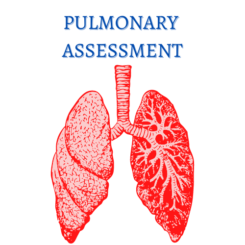 Pulmonary Assessment