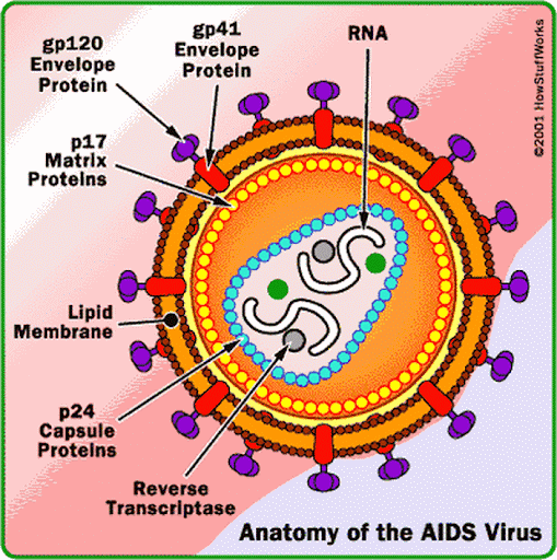 HIV