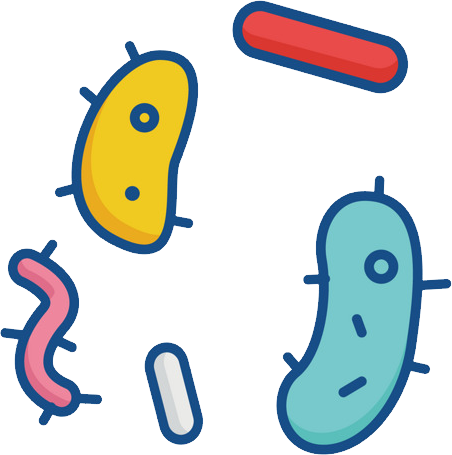 Bacterial diseases